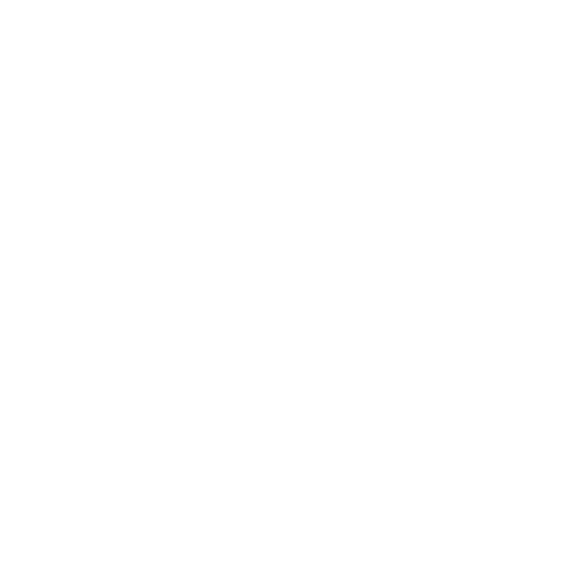 CV